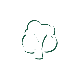 tree icon